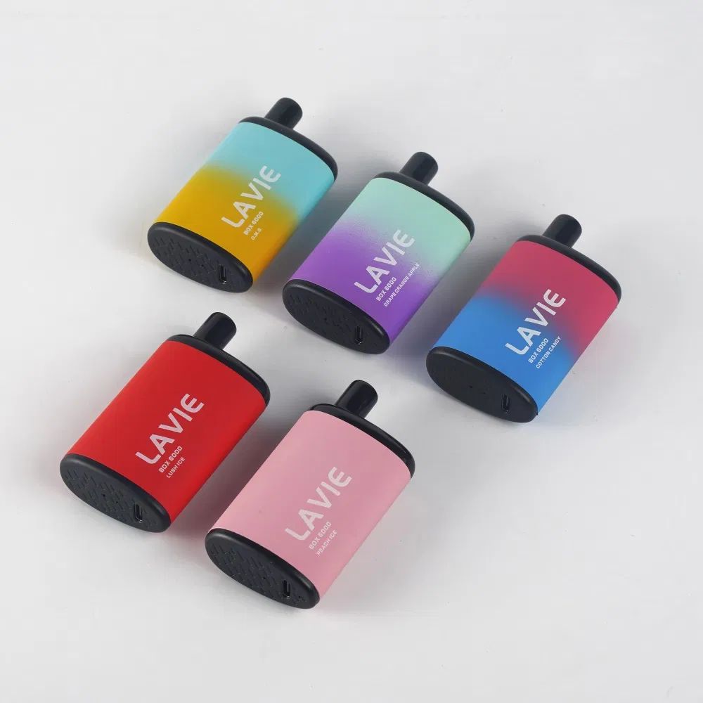 Discover the Future of Vaping: Introducing the LAVIE BOX 6000